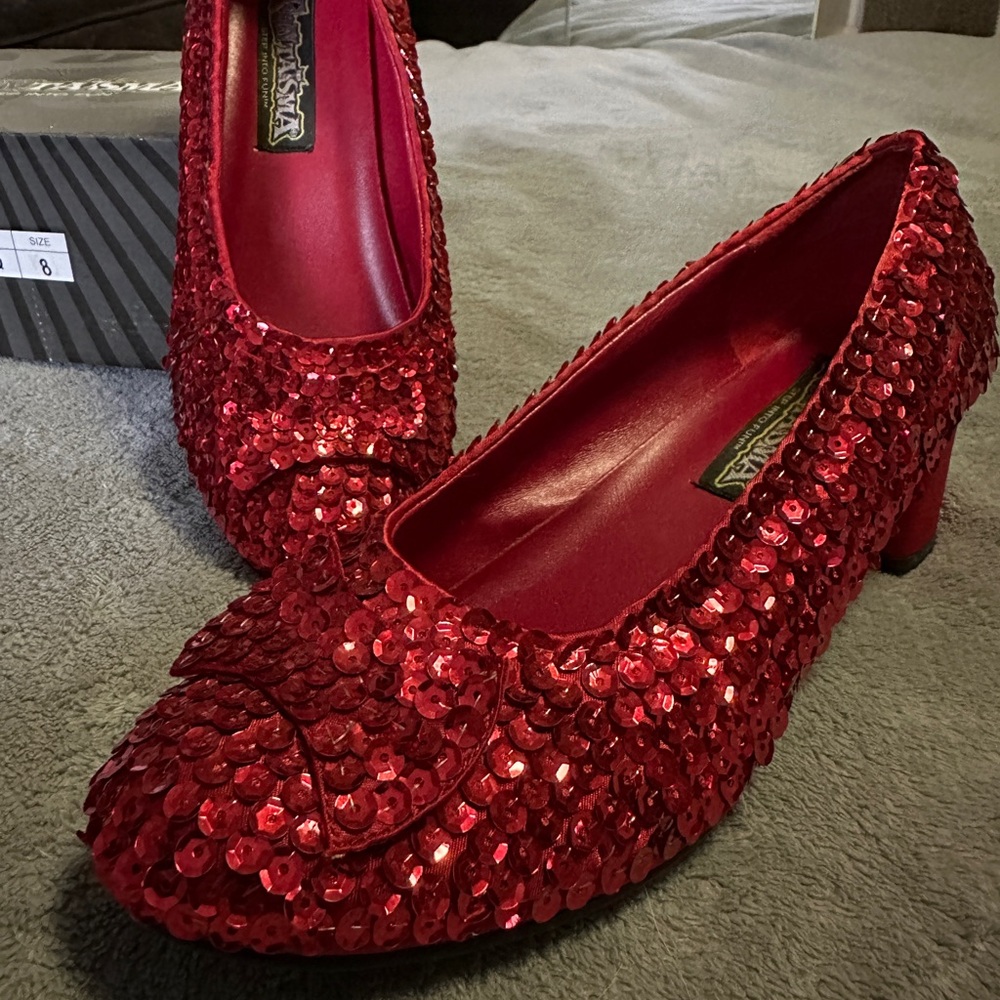 Teen / Juniors Dorothy Wizard of Oz Costume- Ruby Slippers and Dress- size M!